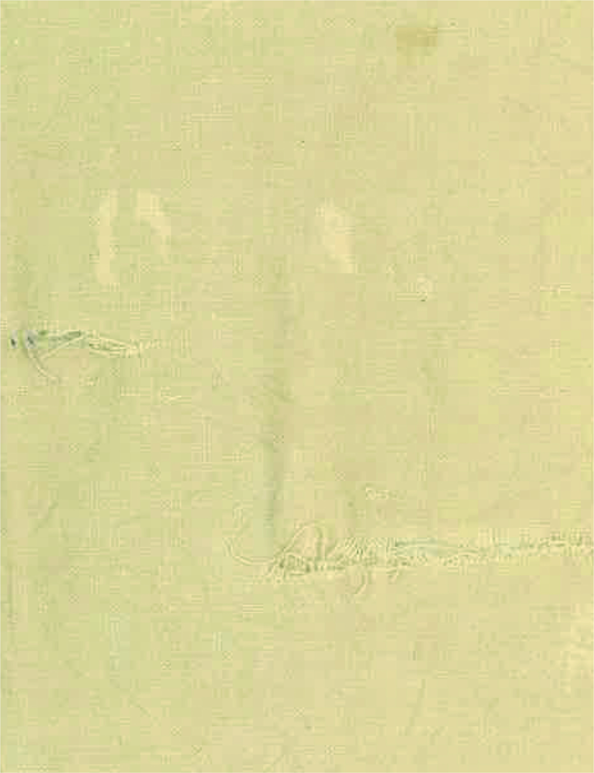商品画像4